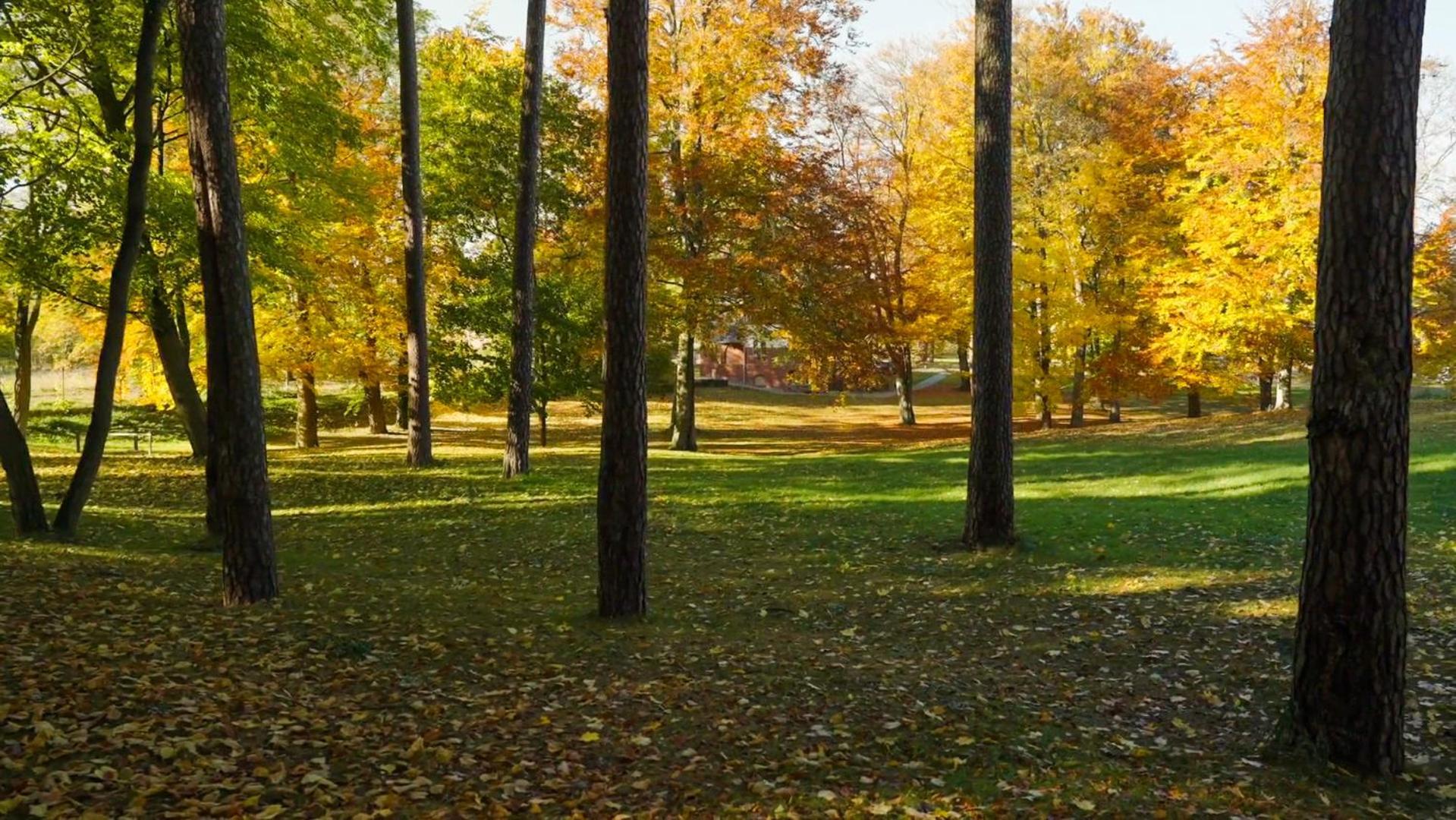 Parkresidenz Lychen, 3 Lychen