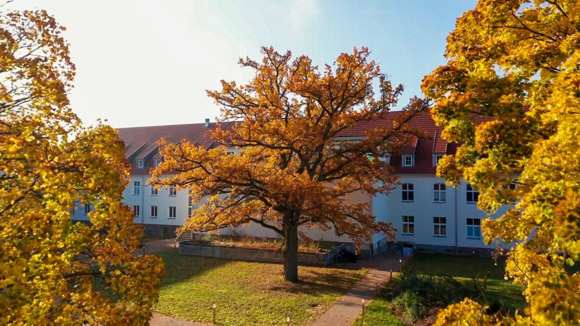 Apartment Parkresidenz Lychen, 3 *